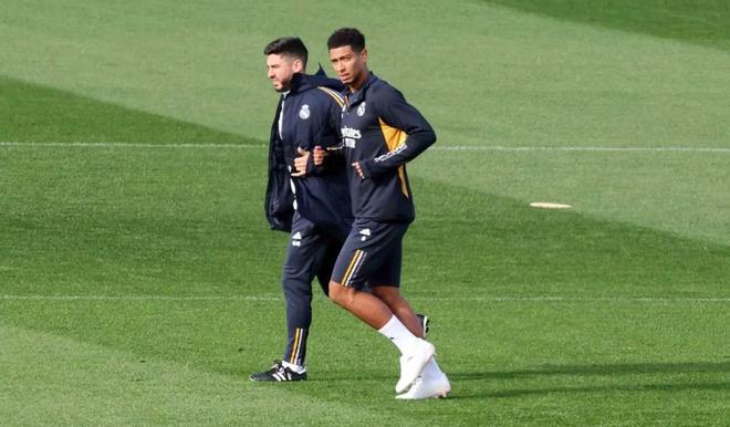 阶段成长的 阶段成长的