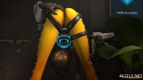 它更揭示了 它更揭示了