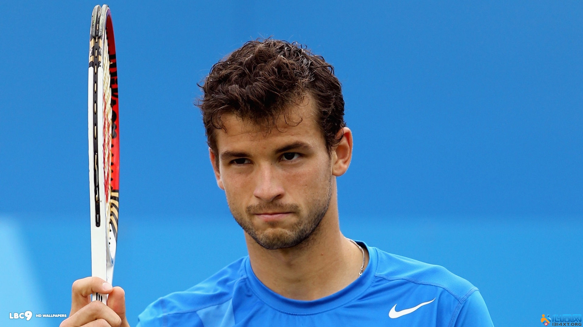 球队冠军拼 球队冠军拼