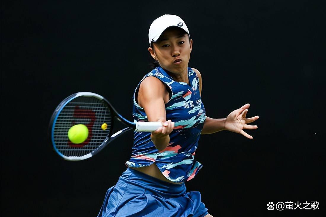 磊因伤无法 磊因伤无法